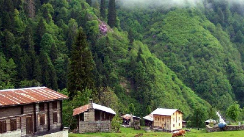 Ayder Tour With Fırtına Valley Adventure