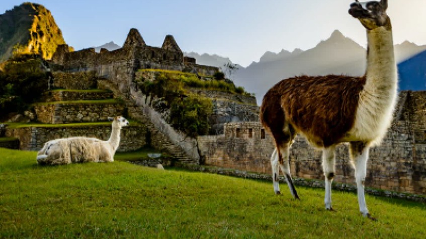 Cusco Magic 5 Days Private (Cusco, Sacred Valley, Machu Picchu, Qeswachaka Bridge)