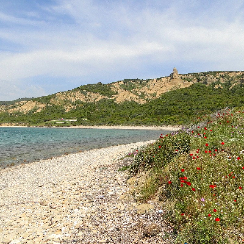 2 Days 1 Night Gallipoli & Troy Tour from Istanbul