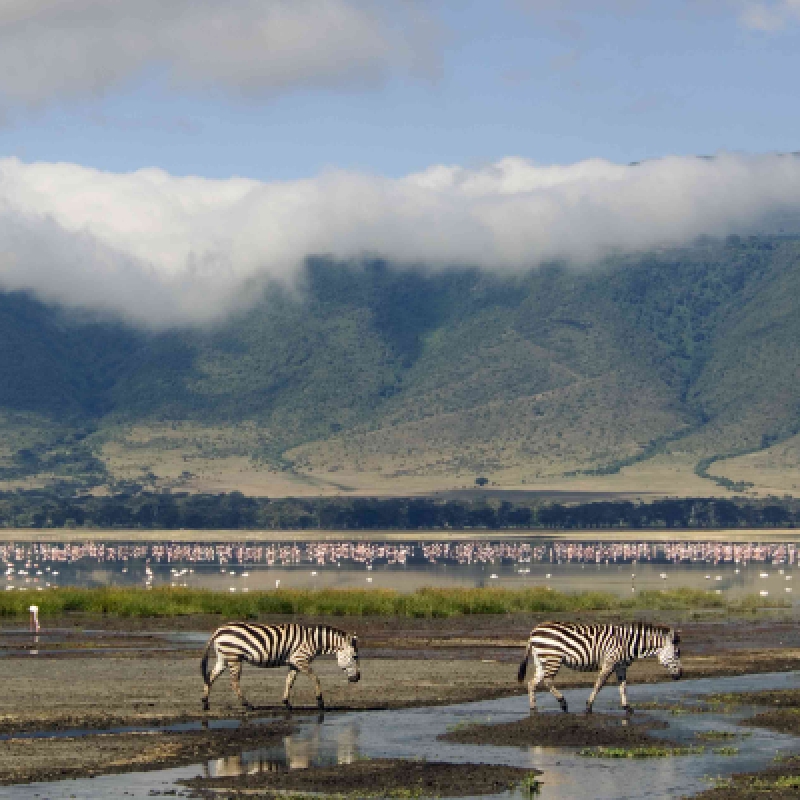 8 Days Tanzania & Kenya Safari + Visit the Hadzabe Bushmen and Datoga Blacksmith