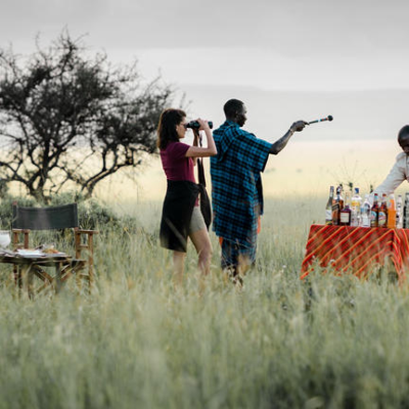 6 / DAYS 5 / NIGHTS - THE GREAT MIGRATION SAFARIS SERENGETI LUXURY PACKAGE ALL-INCLUSIVE