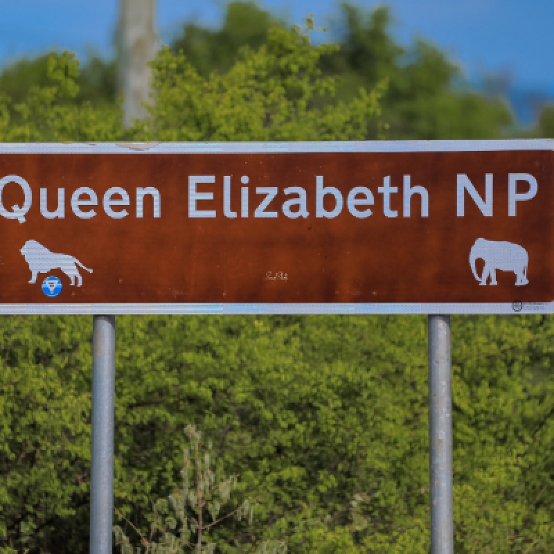 4 DAYS SAFARI TO QUEEN ELIZABETH NATIONAL PARK