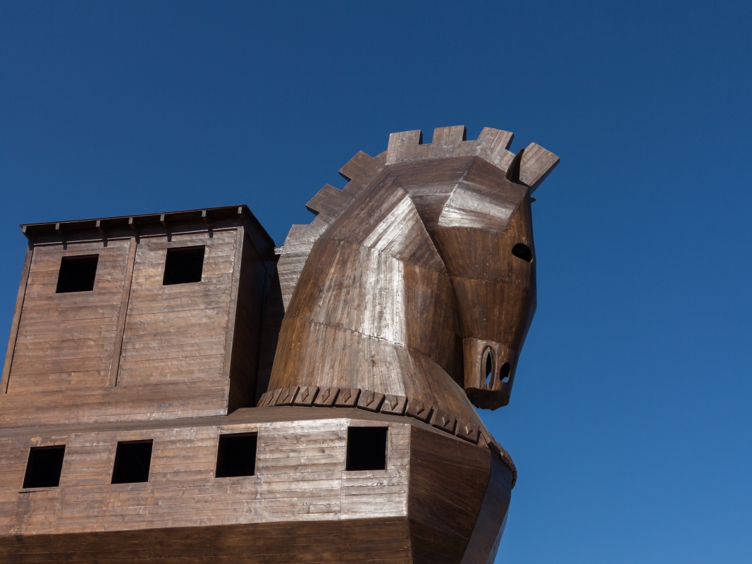 Daily Ancient City of Troy Tour from Istanbul