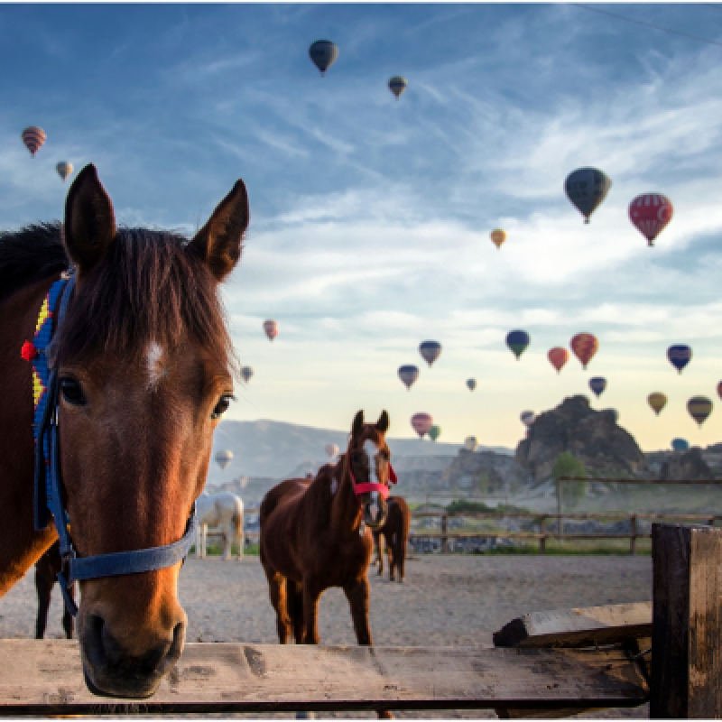 4 Days Horse Riding Package Cappadocia Tour