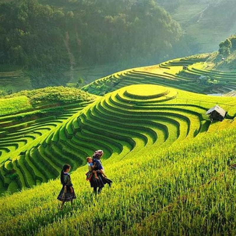 Sapa 2 Days 1 Night From Hanoi - Overnight in Ta Van Village