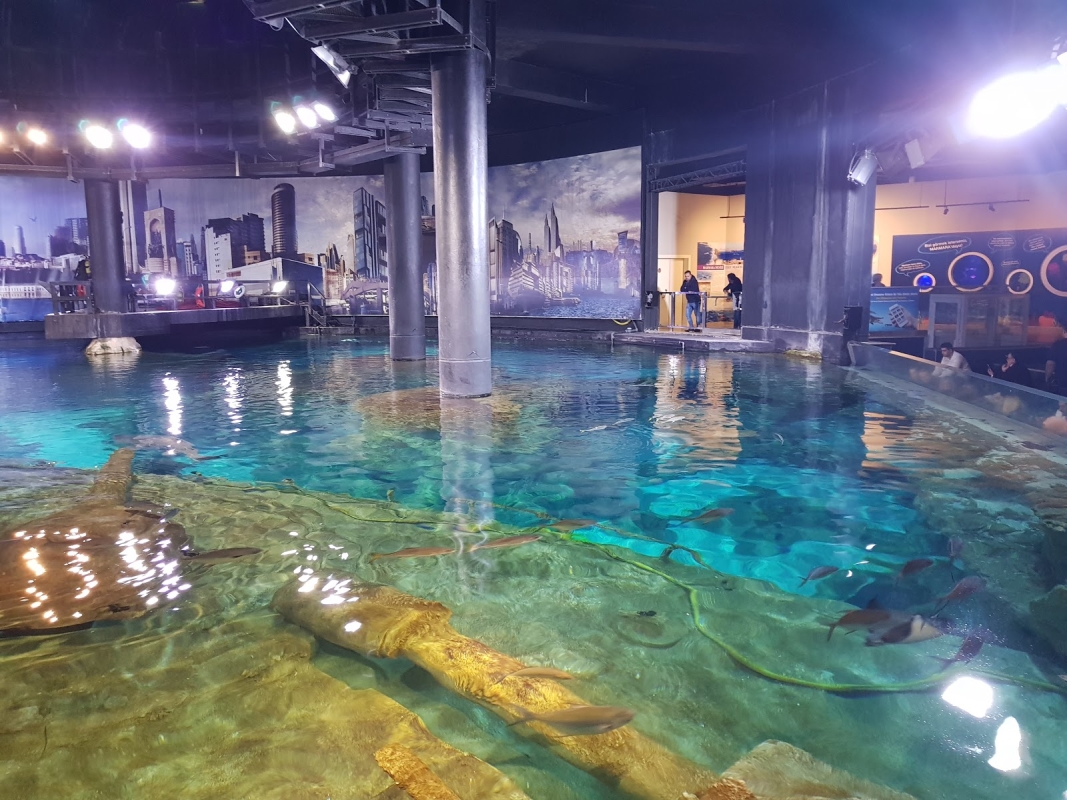 Aquarium & Aqua Florya Shopping Mall Tour Istanbul