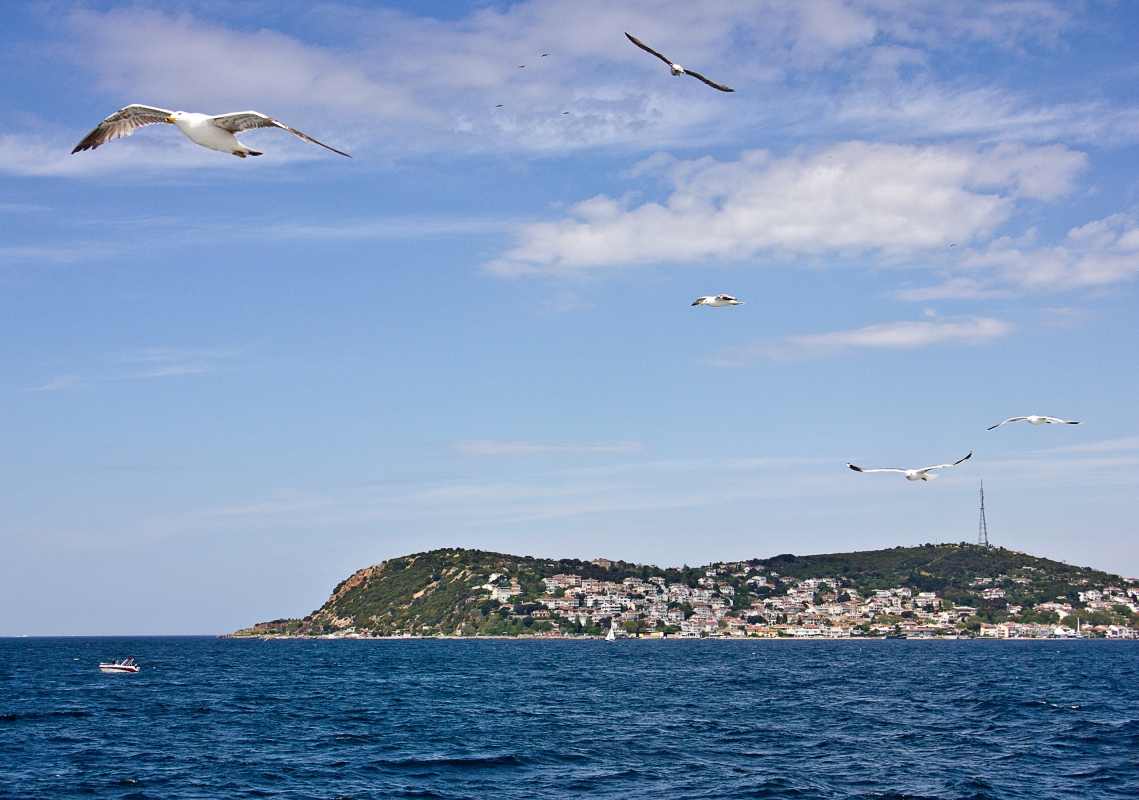 Bosphorus & Princes Islands Combine Yacht Tour