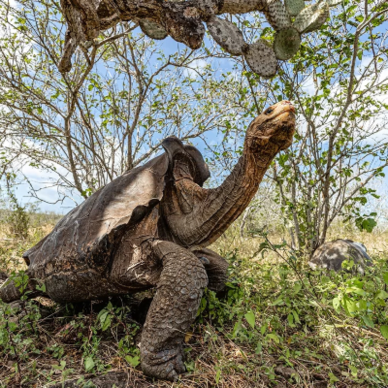 5 Days Galapagos Fascinating Nature