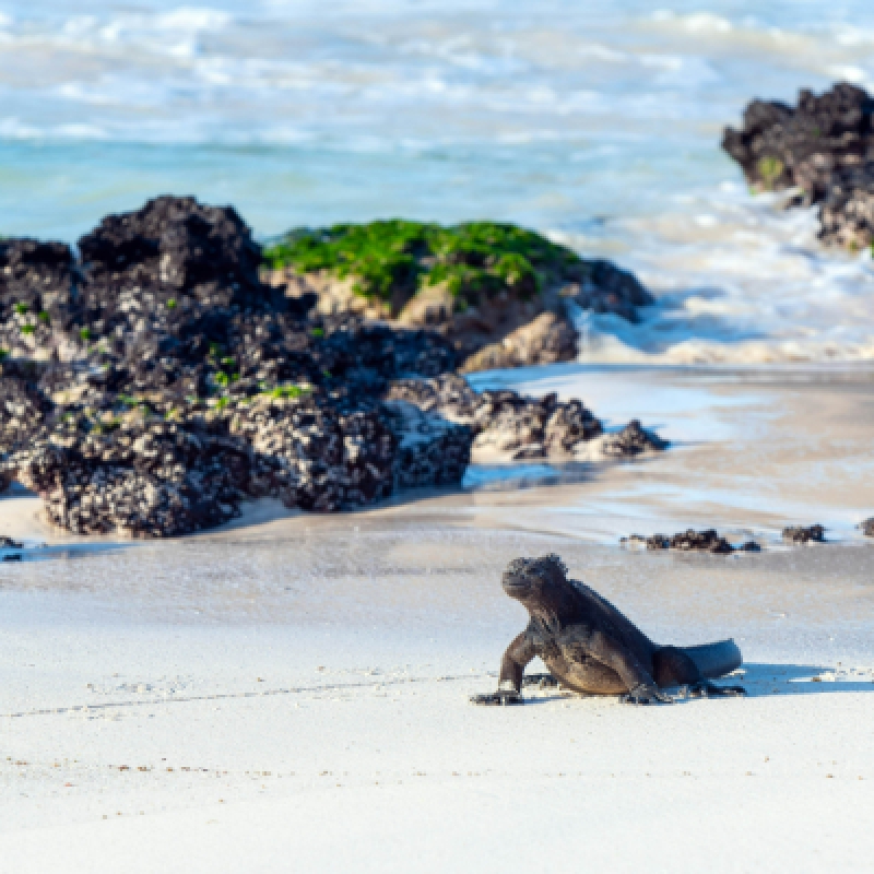 7 Days Enchanting Galapagos