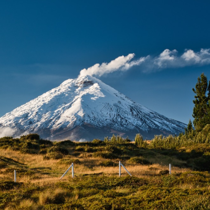 8 Days Cuyabeno Wildlife Reserve and Middle of the World Discovery