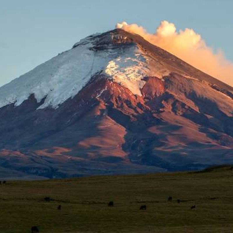 14 Days in Ecuador Highlights Amazon and Galapagos Islands