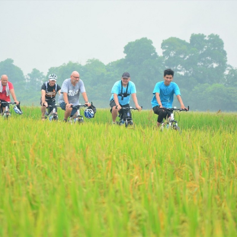FULL DAY HANOI COUNTRYSIDE BICYCLE TOUR TO BAT TRANG POTTERY VILLAGE