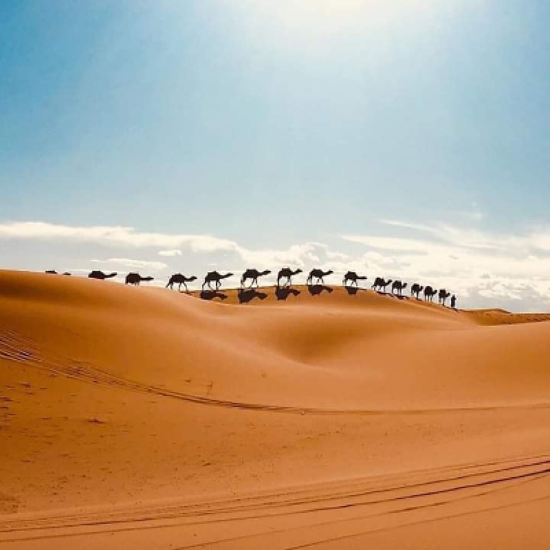 4 days Marrakech to Fes via Sahara Desert