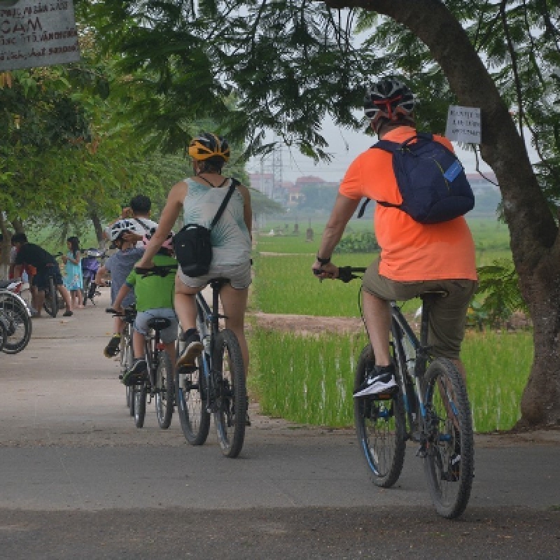 Hanoi Countryside and Co Loa Ancient Citadel Full Day Bicycle Tour