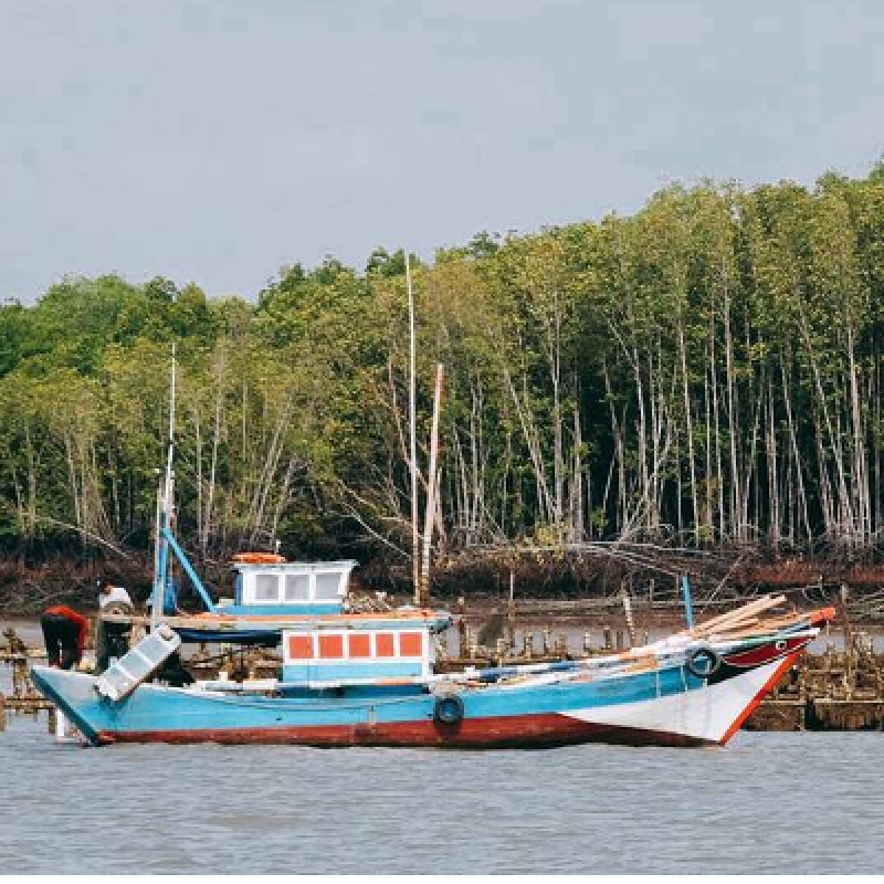 Luxury Speedboat Eco-Tour to UNESCO Can Gio Mangrove Wildlife Adventure