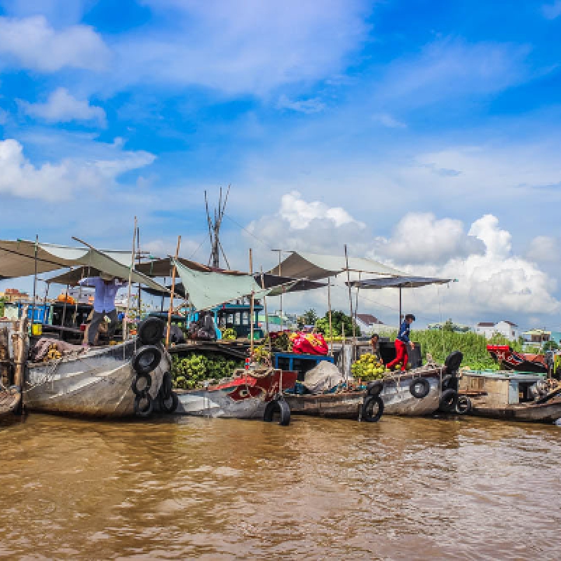 Discover Mekong Delta Cai Be Floating Market Tan Phong Adventure Day Tour