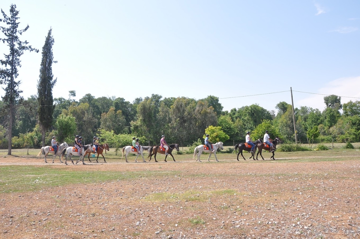 Daily Fethiye Horse Riding Tour