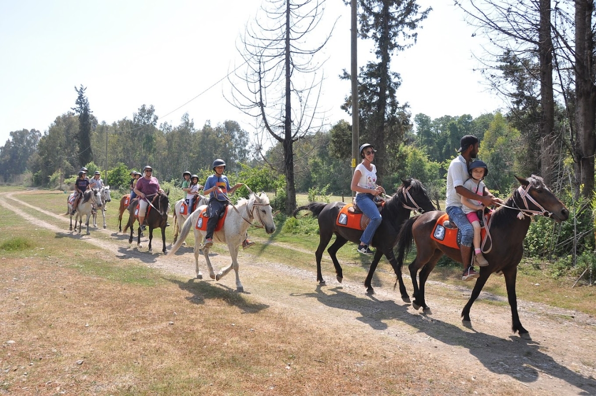 Daily Fethiye Horse Riding Tour