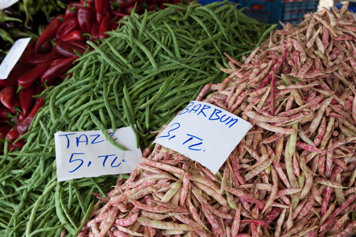 Daily Fethiye Tuesday Market Tour