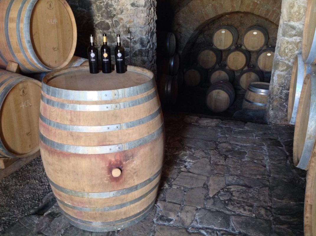 Half Day Irpinia Wine Tour From SALERNO