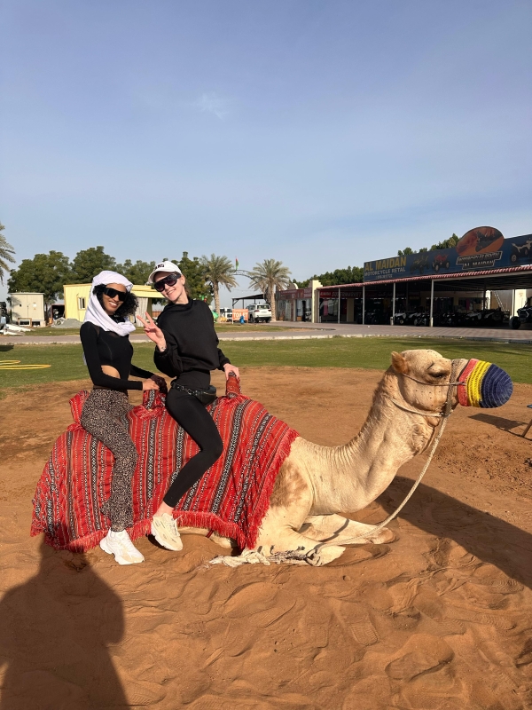 Evening Desert Safari with Camel Ride Sandboard & BBQ Dinner