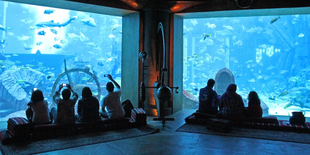 Dubai:-The Lost Chambers aquarium Ticket & shared Transfer