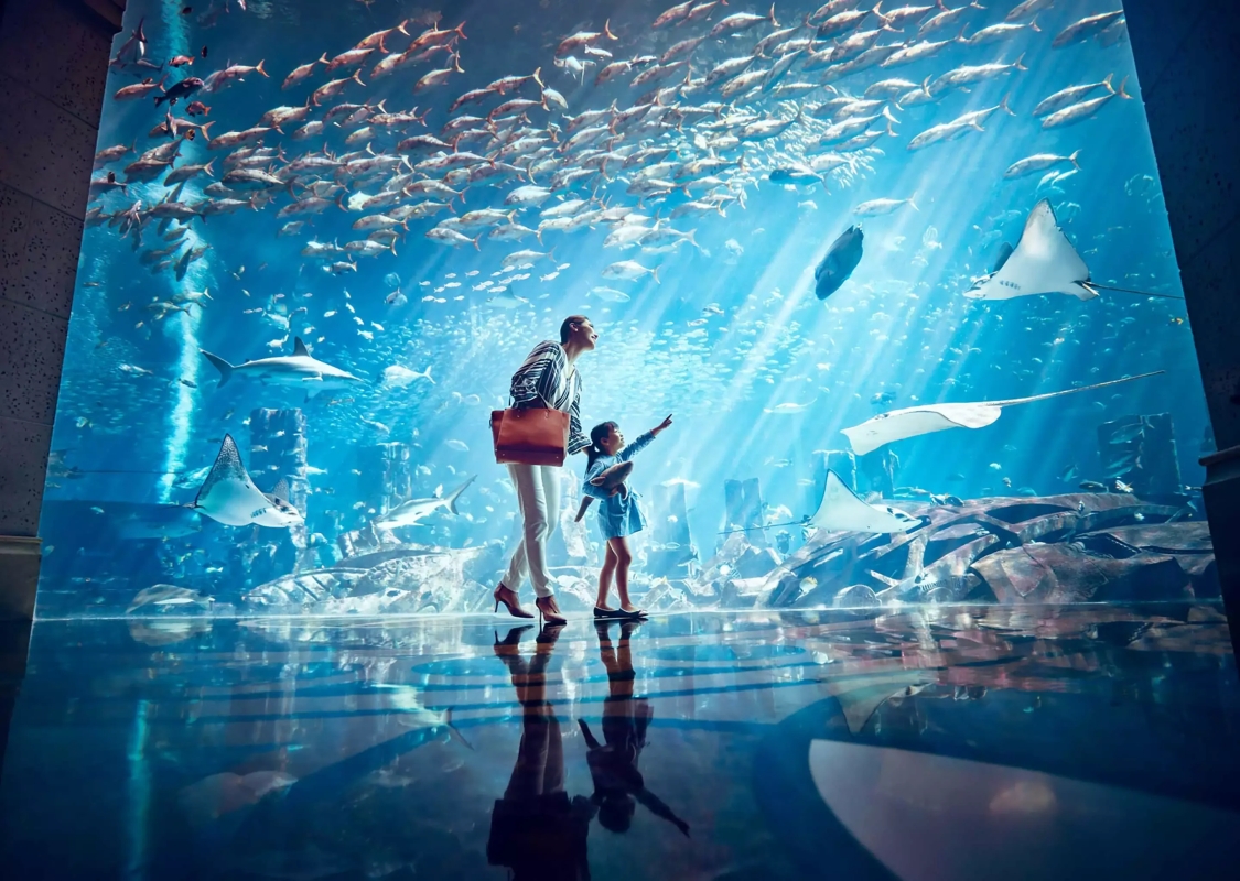 Dubai:-The Lost Chambers aquarium Ticket & shared Transfer