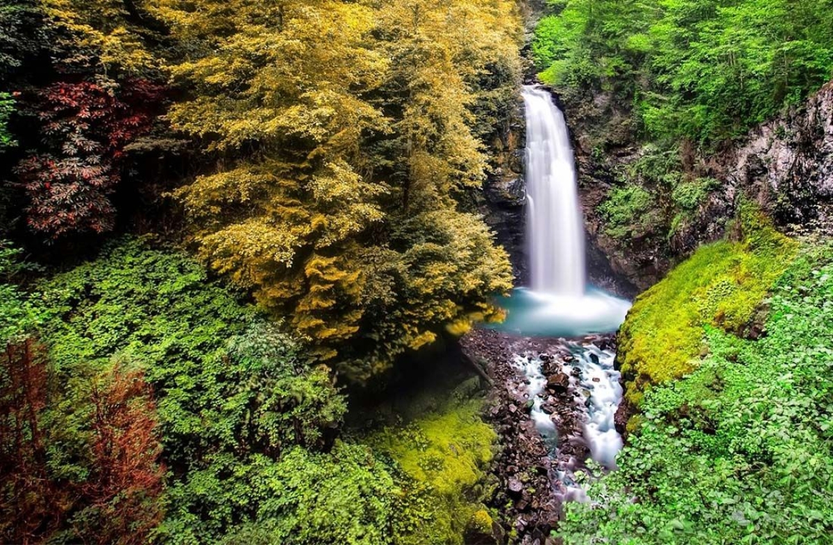 Daily Pokut - Sal Plateau Tour from Trabzon