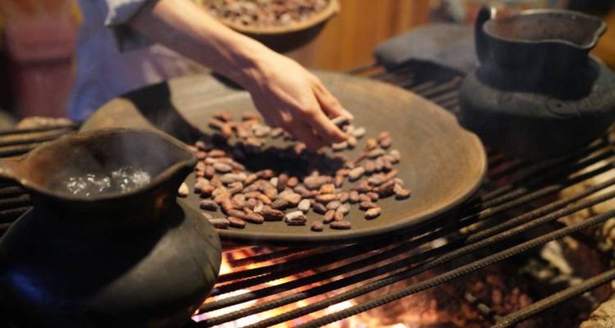 Full Day Mindo Cloudforest - Shared Group