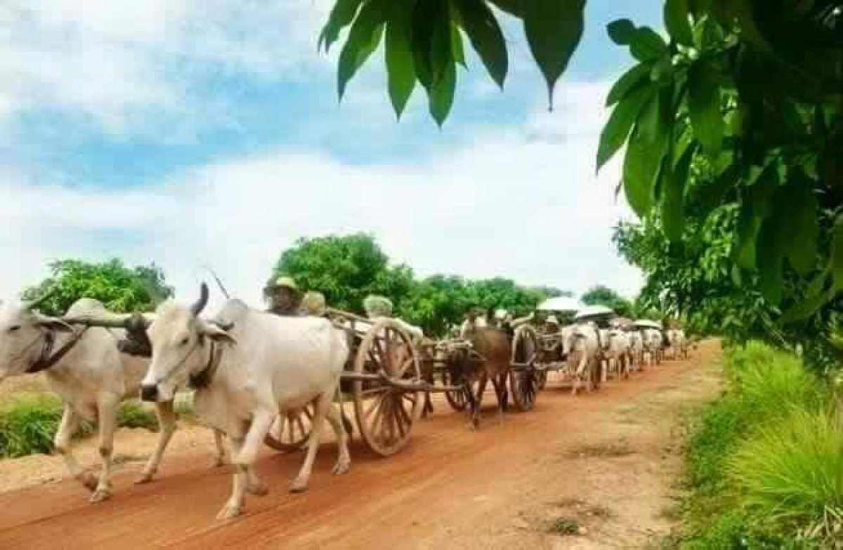 Tuk Tuk Journey: Exploring Rural Life and Silk Farm Craftsmanship