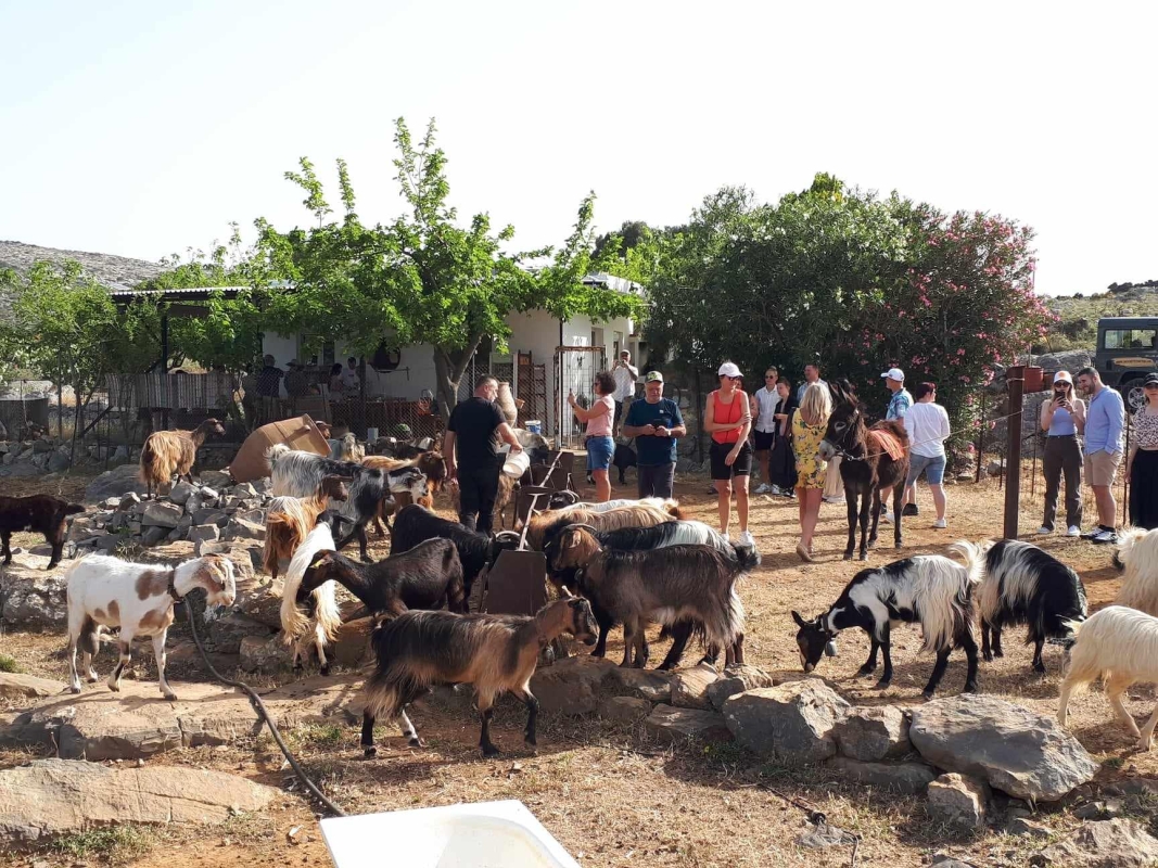 Malia: Lasithi Plateau Zeus Cave Guided Tour
