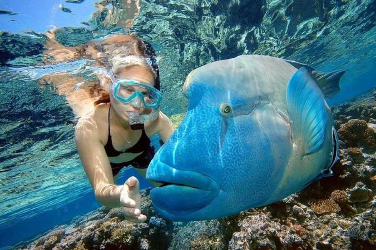 Egypt: 7-Hour Scenic Hurghada Boat Trip with Snorkeling and Lunch
