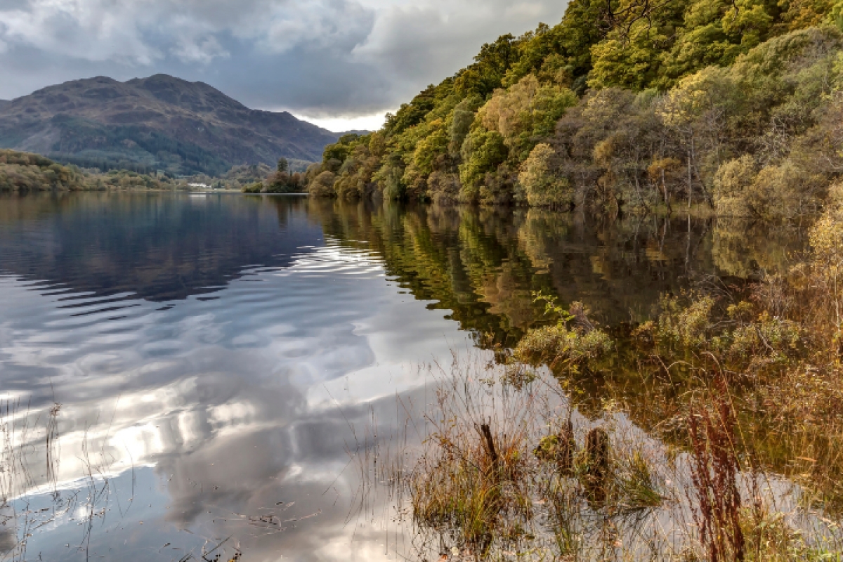 Loch Lomond & Trossachs National Park Self Drive Tour with an APP