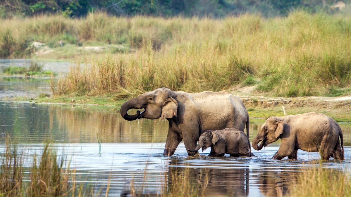 Kathmandu Chitwan Tour