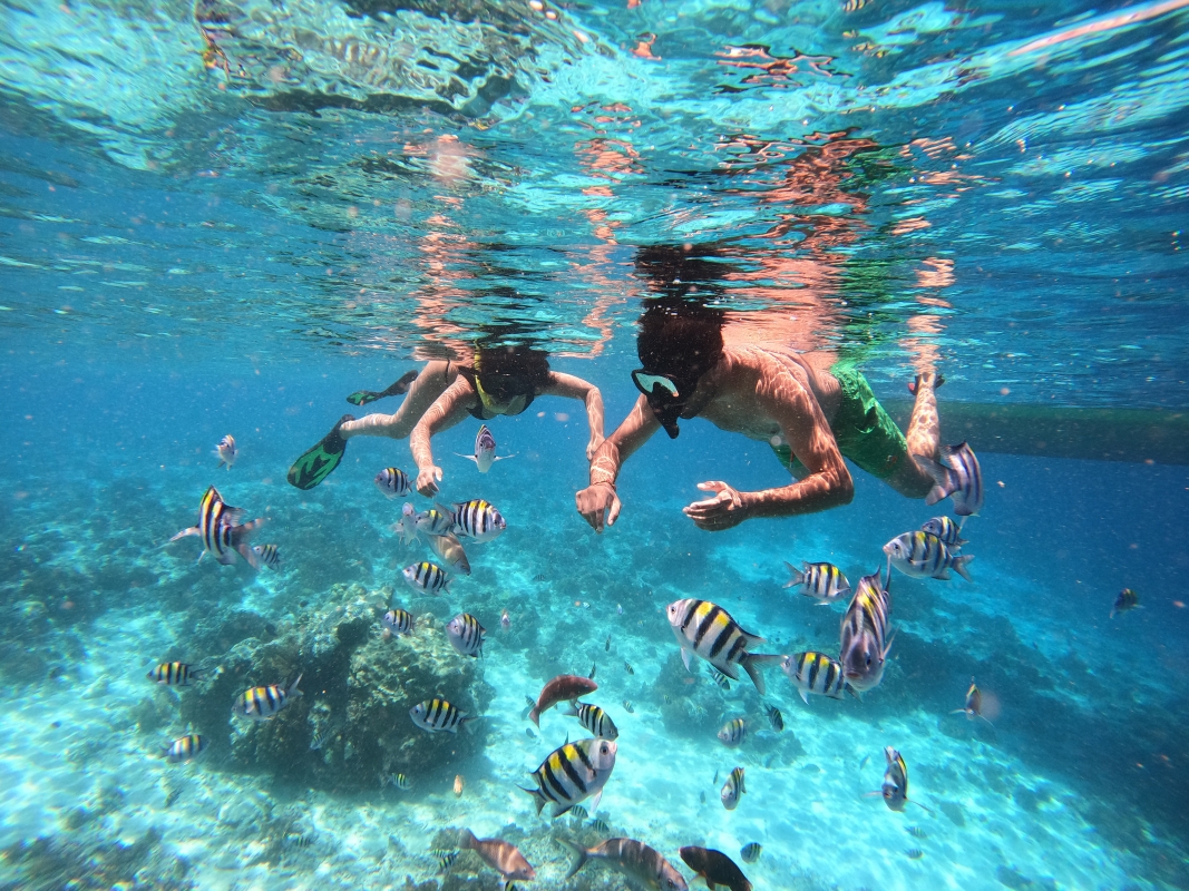 From Lombok: Full Day Snorkeling Day Trip to North 3 Gilis (Trawangan, Meno, Air)