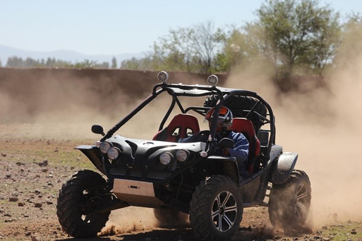 Marrakech: Buggy Ride in the Palm Groves