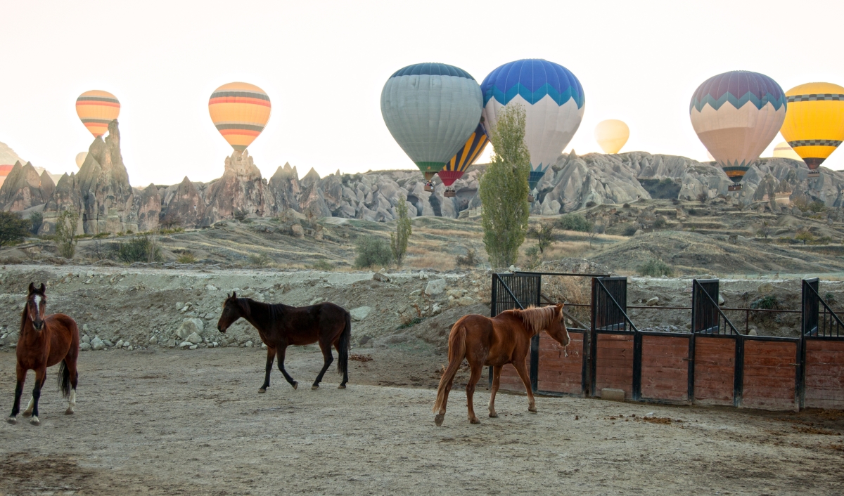 Full Day Guided Tour Cappadocia to Istanbul 7 Day