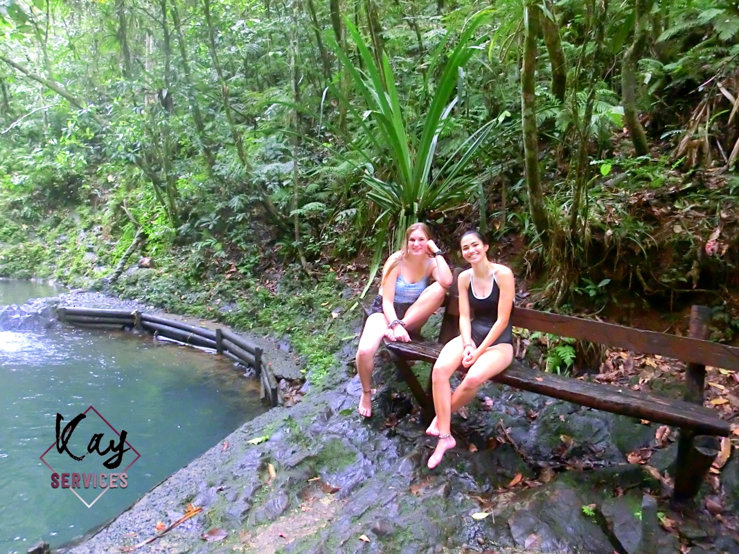 Waterfalls and Nature Tour
