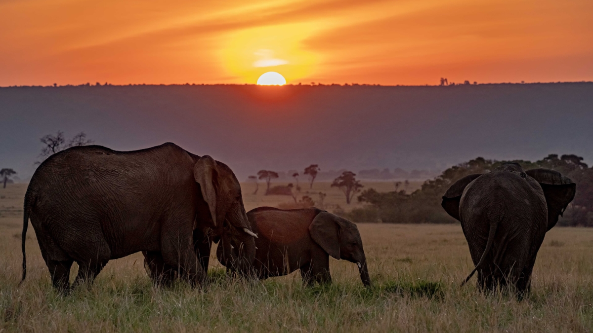 4-Day Adventure Through Amboseli, Tsavo West & Tsavo East Safari