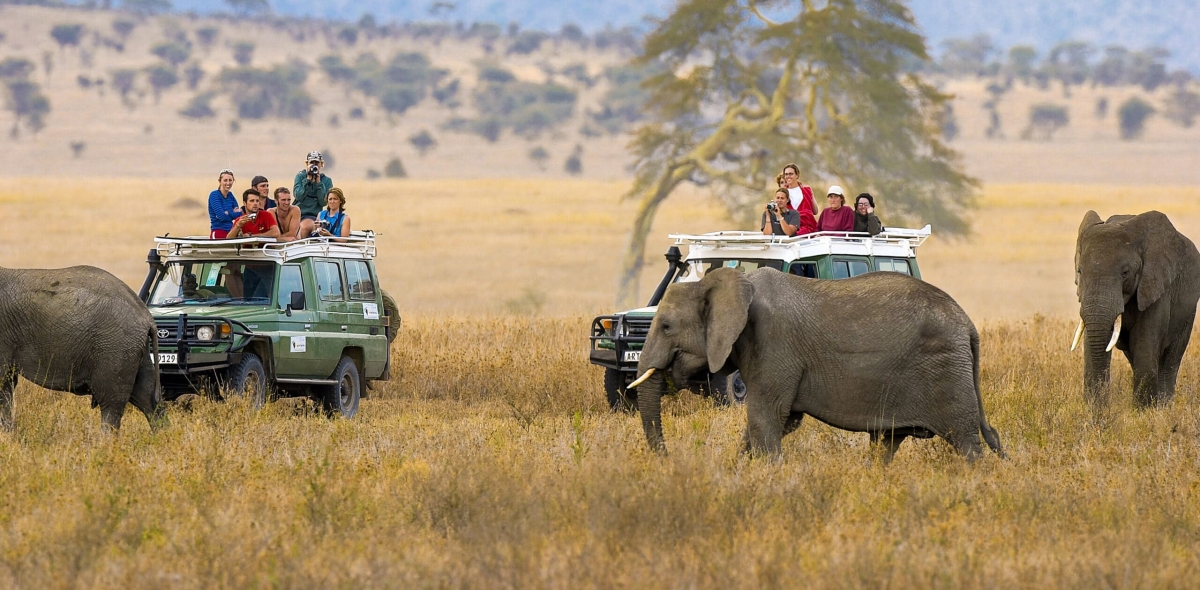 11 Days Best of Kenya & Tanzania Private 4x4 Luxury Safari- Hot Air Balloon Safari Experience