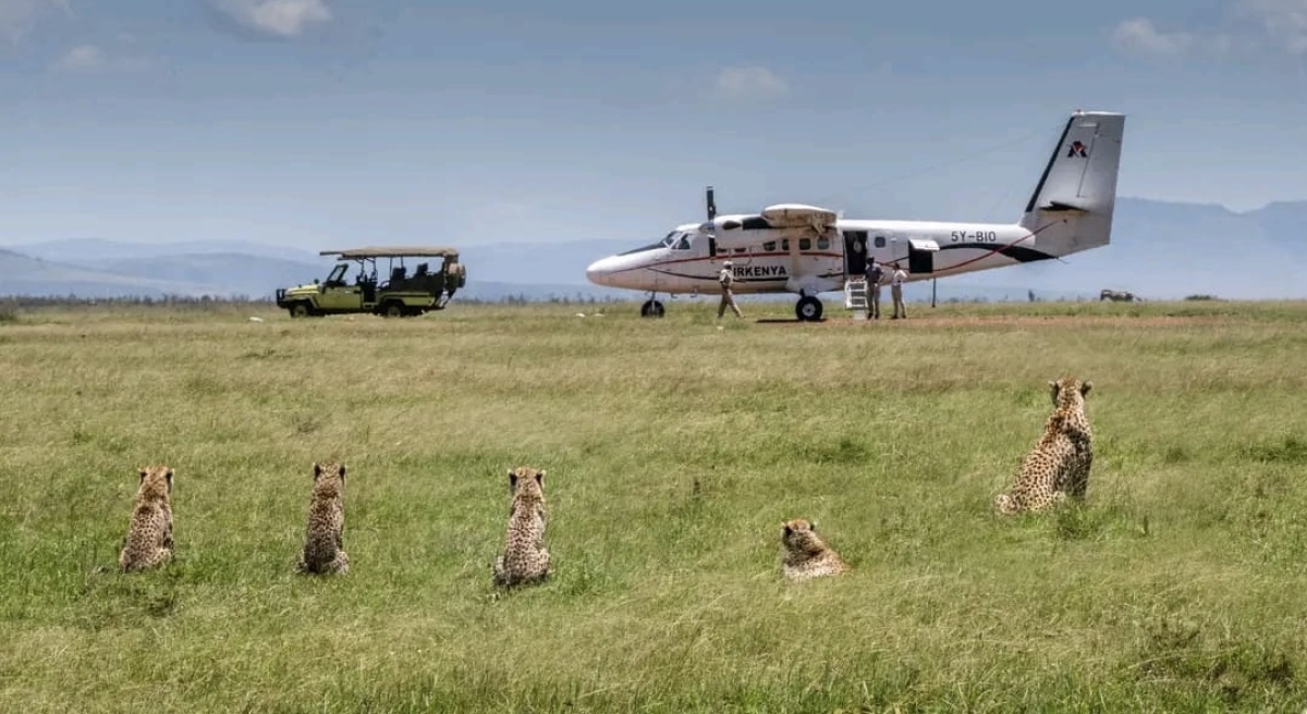 Kenya’s Ultimate Safari Journey: Aberdares, Lake Nakuru, Naivasha, and Masai Mara 6 Days