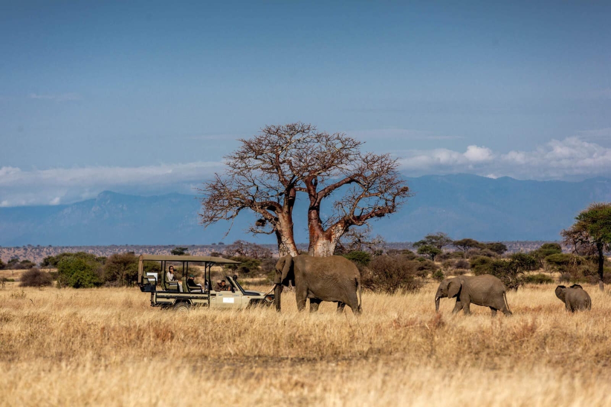 Explore Kenya’s Wild Beauty: 3-Day Amboseli & Tsavo West Safari in a 4x4 Jeep