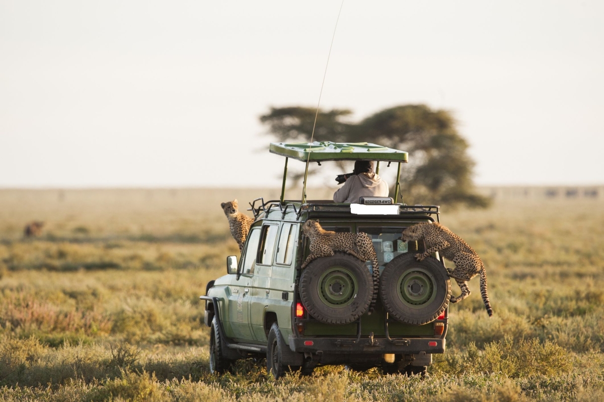 5 Days Big Five Luxury Safari to Masai Mara  Lake Nakuru and  Lake Naivasha