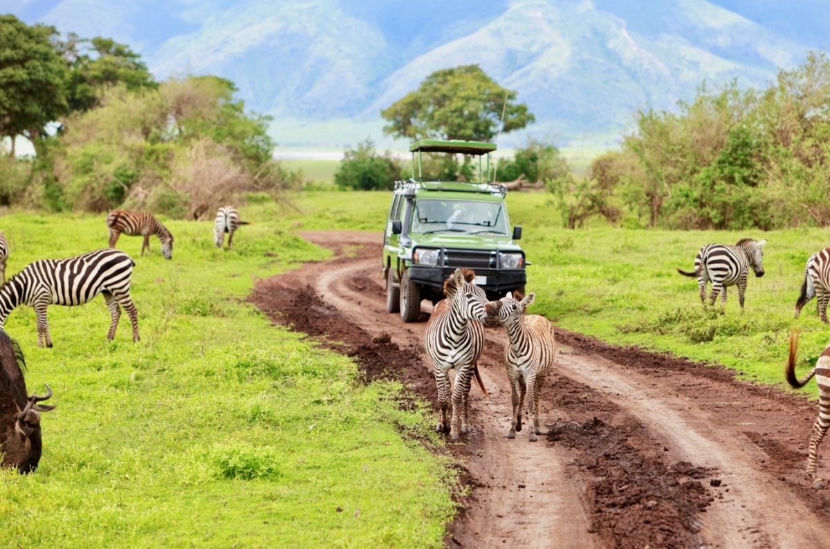 15-Day Kilimanjaro Climb, Serengeti Safari, and Zanzibar Beach Holiday