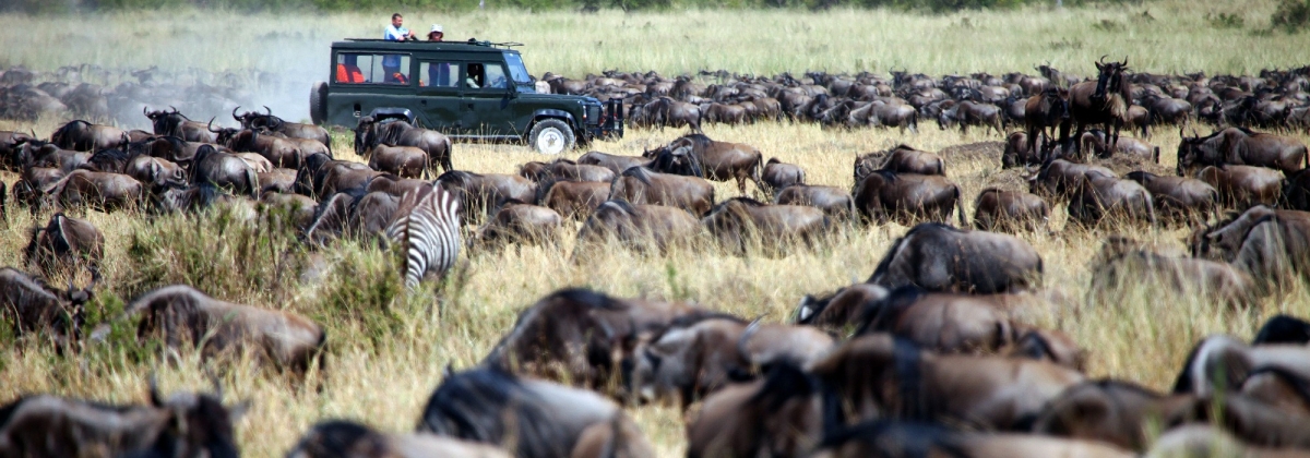 6 Days Serengeti National Park Wildebeest Migration Luxury Safari