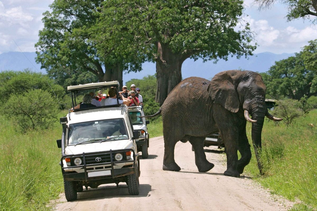 8 Days Experience Kenya Famous Parks Safari on 4x4 Landcruiser Jeep
