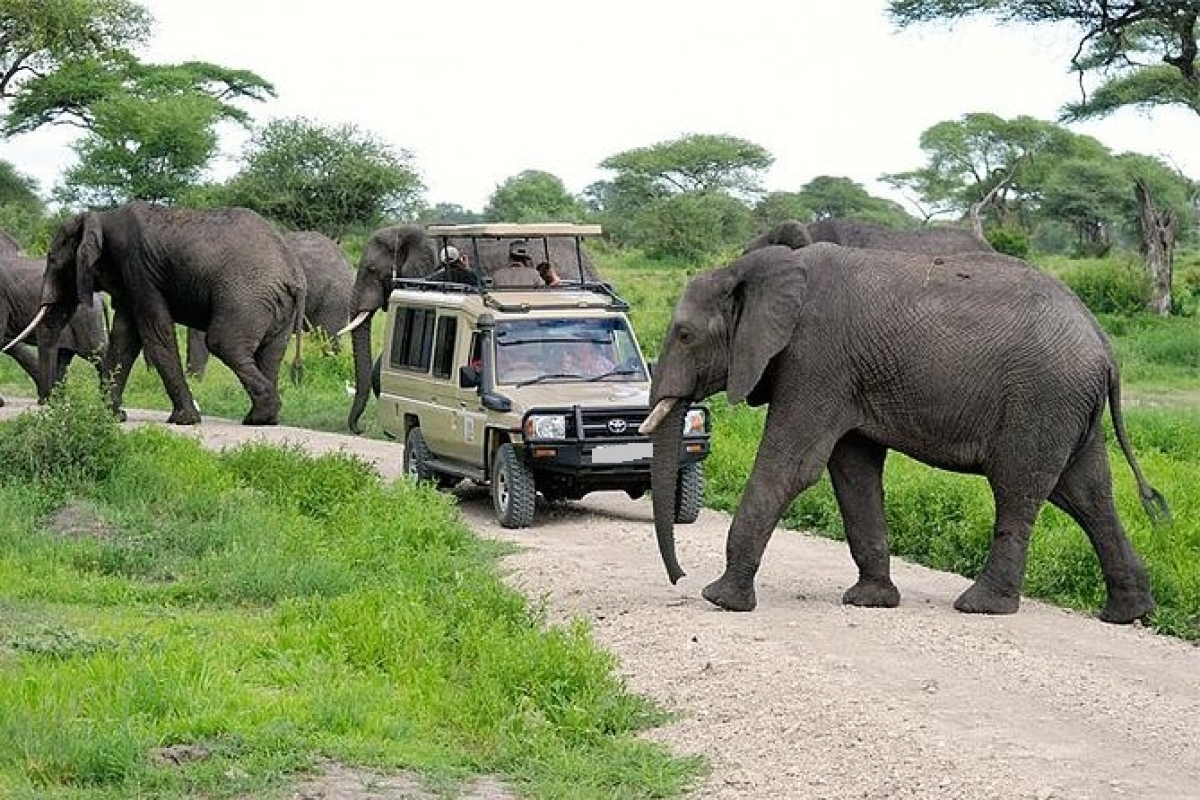 4 Days Midrange Amboseli National Park, Tsavo West and Tsavo East Safari