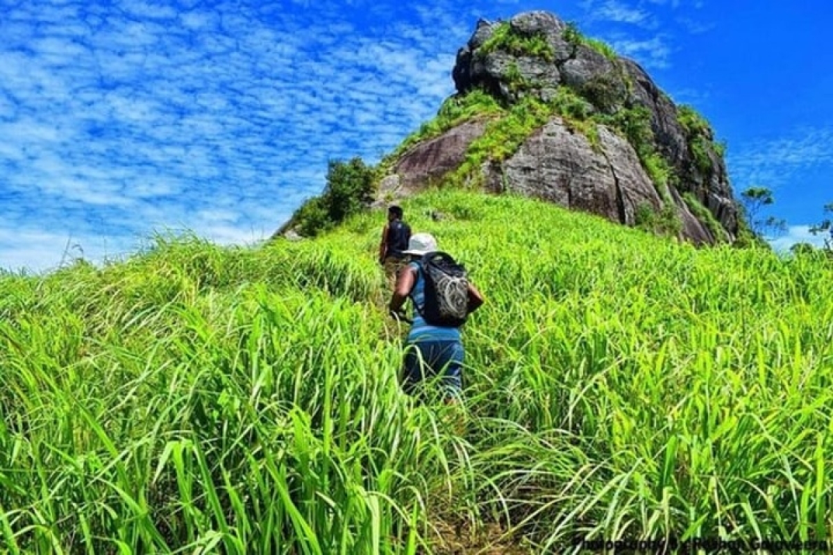 4 Day Ceylon Backpacker Tour