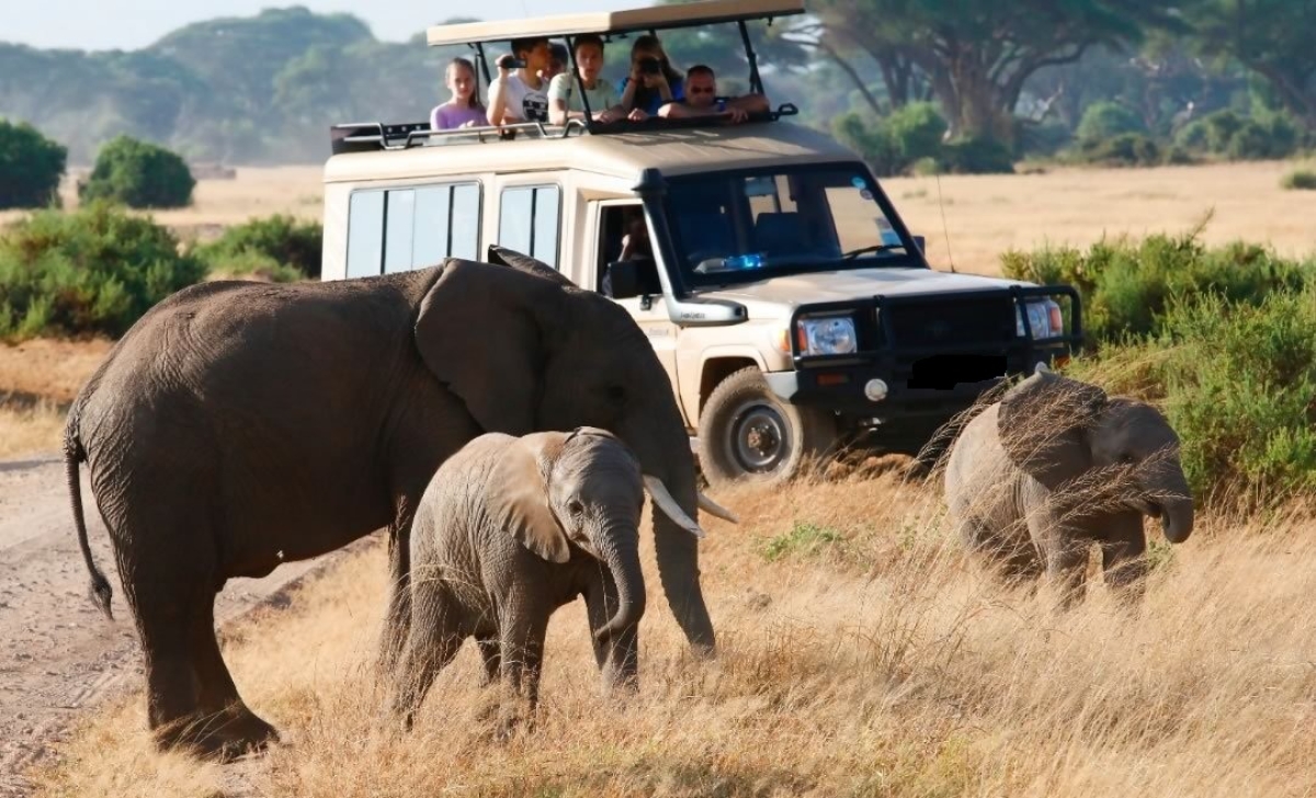 5-Day Masai Mara, Lake Nakuru & Lake Naivasha photographic Luxury Safari