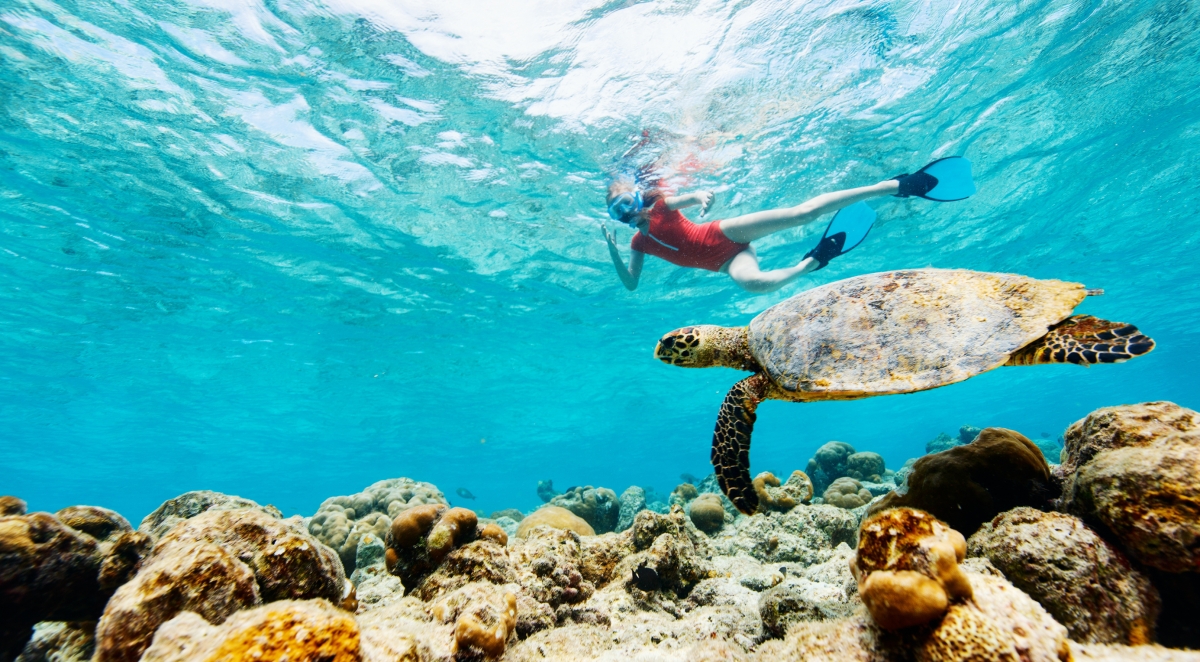 Diving Cruise 7 Days 6 Nights Fethiye to Gocek Blue Cruises Turkey